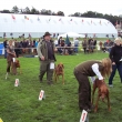 vstava Mlad Boleslav 2010
